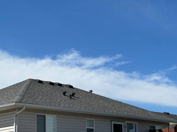 Best Roof Ventilation Installation  in Grafton, OH